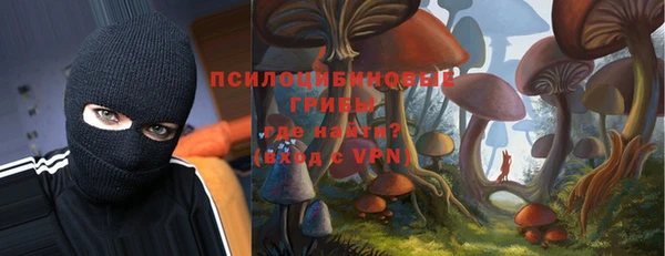 хмурый Верхний Тагил