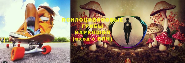 хмурый Верхний Тагил