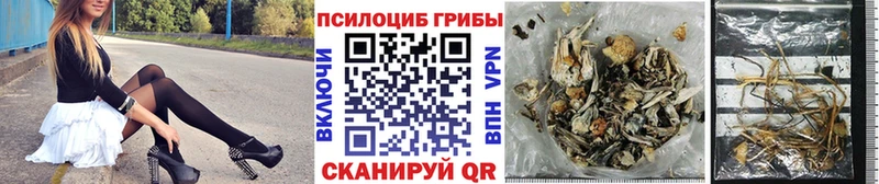 Псилоцибиновые грибы прущие грибы  Вязьма 